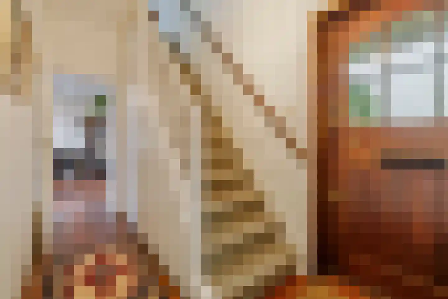 Singel 9 Blaricum thumbnail 11
