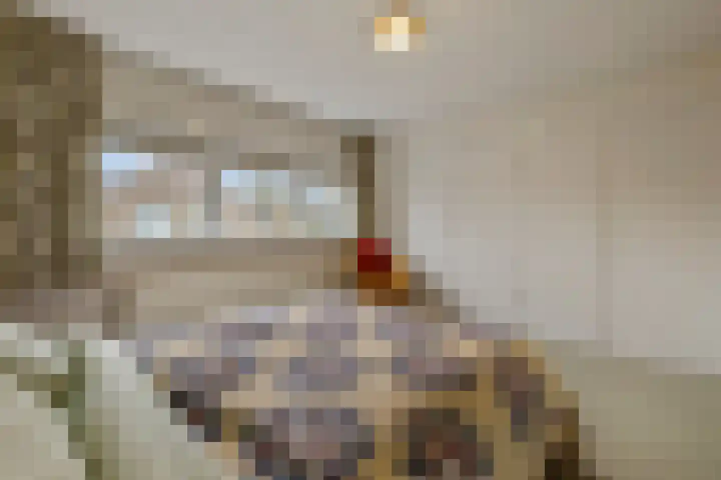 Singel 9 Blaricum thumbnail 13