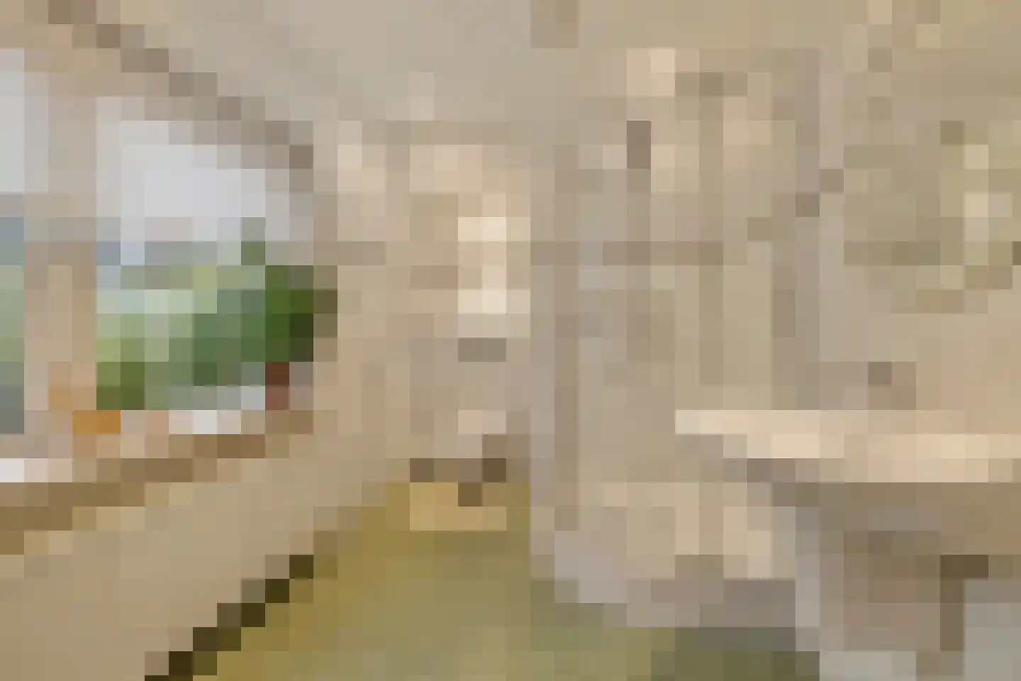 Singel 9 Blaricum thumbnail 14
