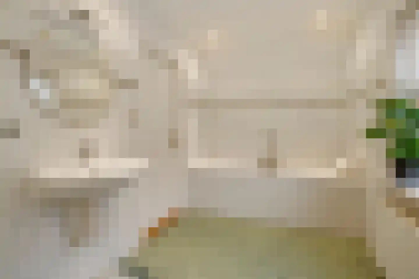 Singel 9 Blaricum thumbnail 15