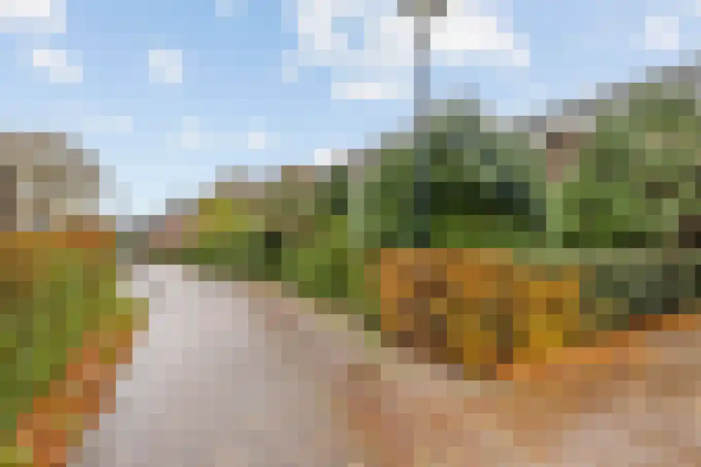 Singel 9 Blaricum thumbnail 21