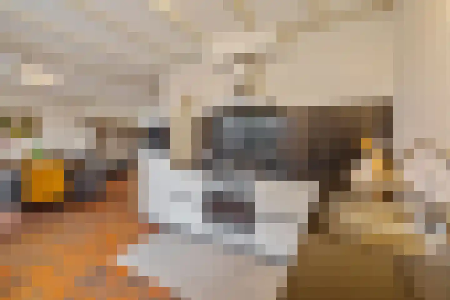 Singel 9 Blaricum thumbnail 8