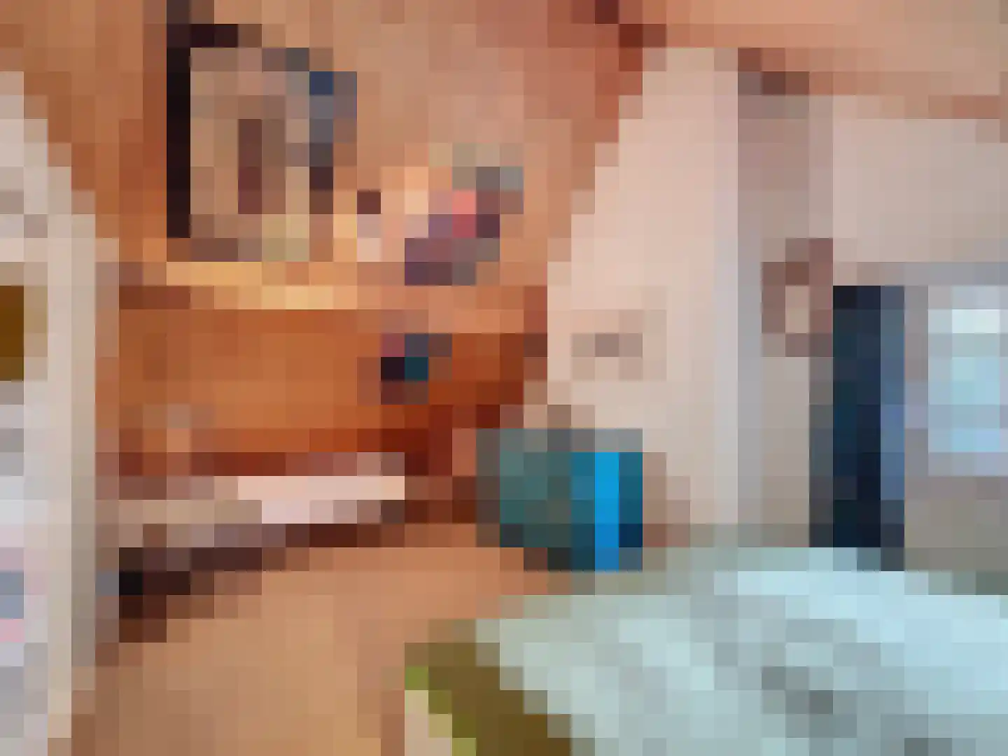Singel 9 Sluis thumbnail 12