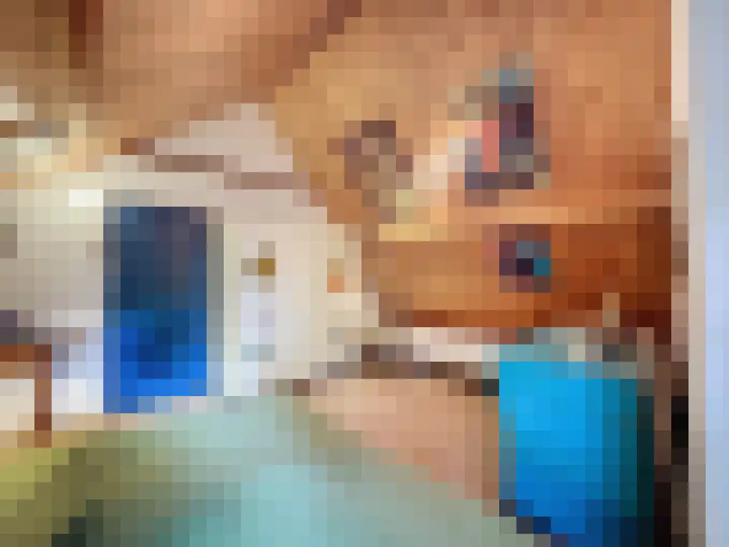 Singel 9 Sluis thumbnail 13