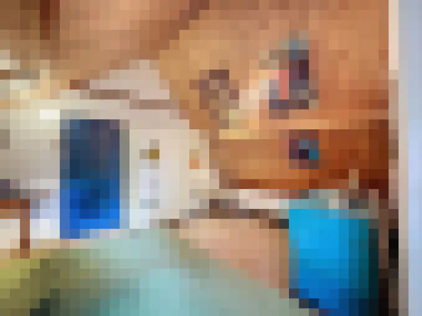 Singel 9 Sluis thumbnail 14
