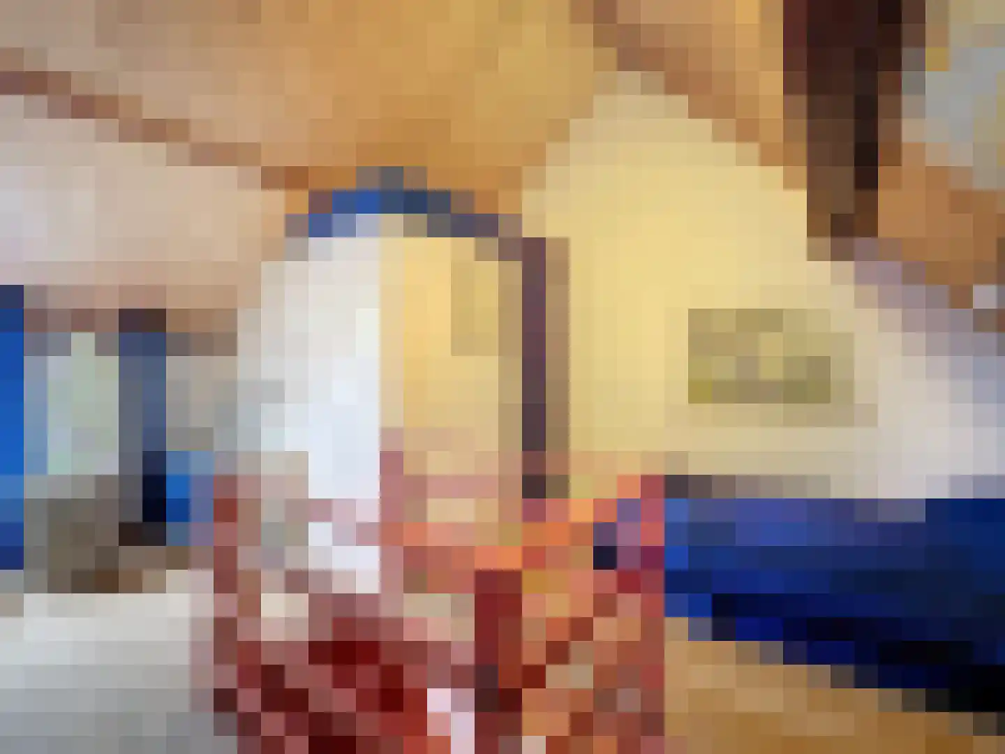 Singel 9 Sluis thumbnail 16