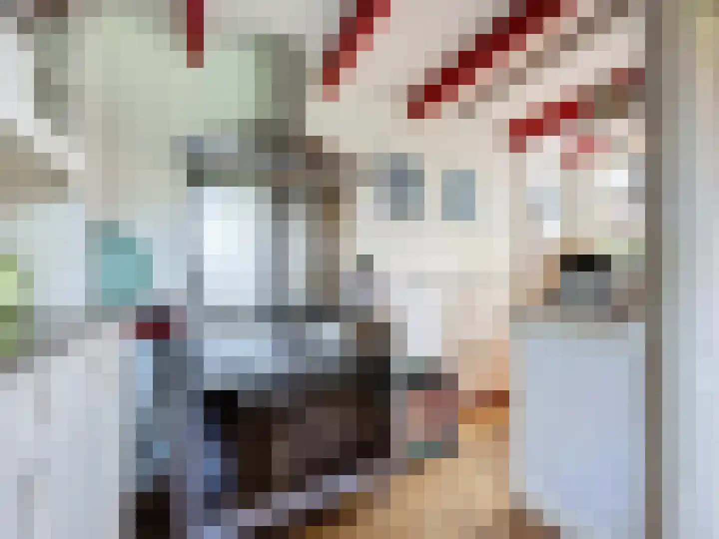 Singel 9 Sluis thumbnail 23