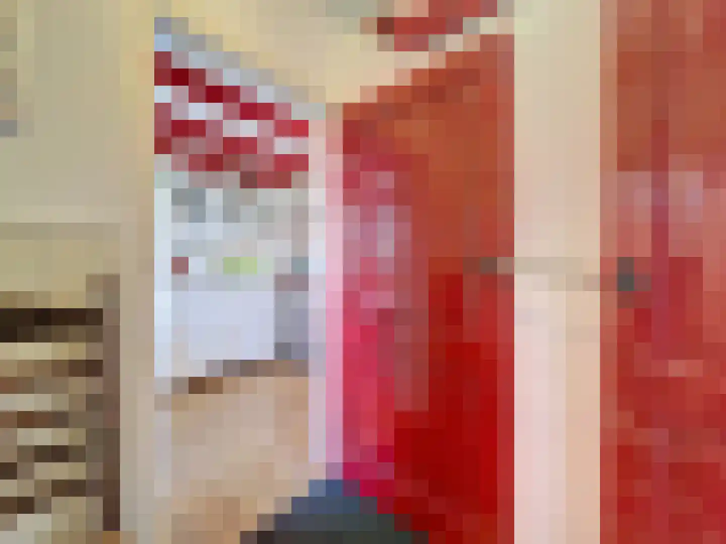Singel 9 Sluis thumbnail 30