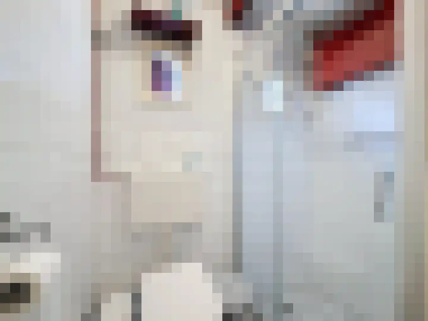 Singel 9 Sluis thumbnail 31
