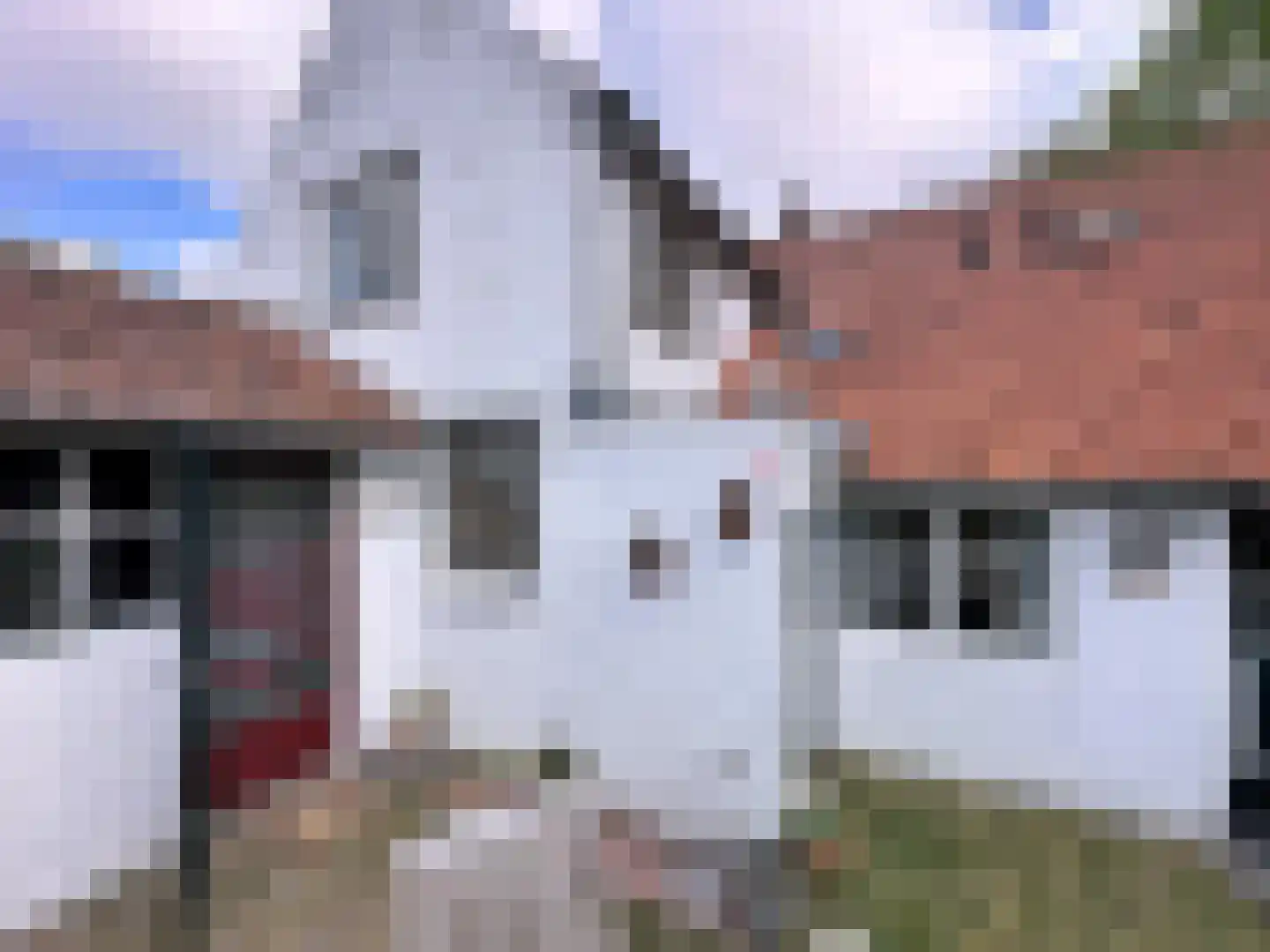 Singel 9 Sluis thumbnail 33