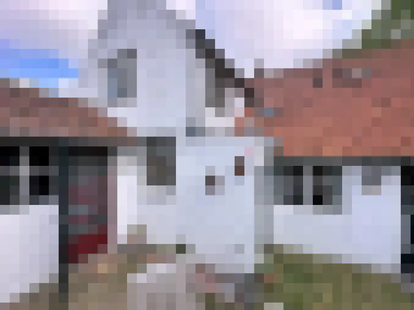 Singel 9 Sluis thumbnail 33