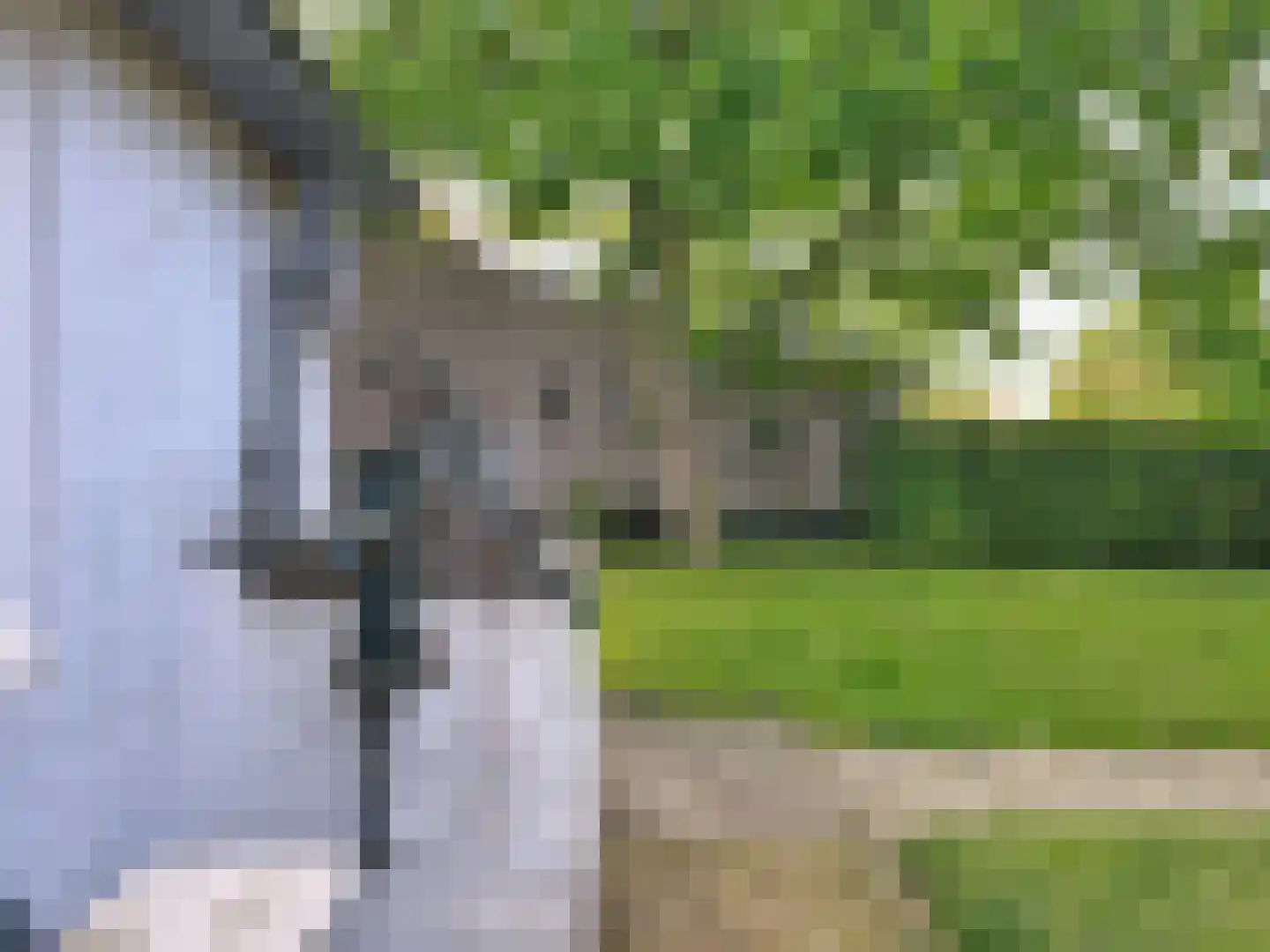 Singel 9 Sluis thumbnail 34