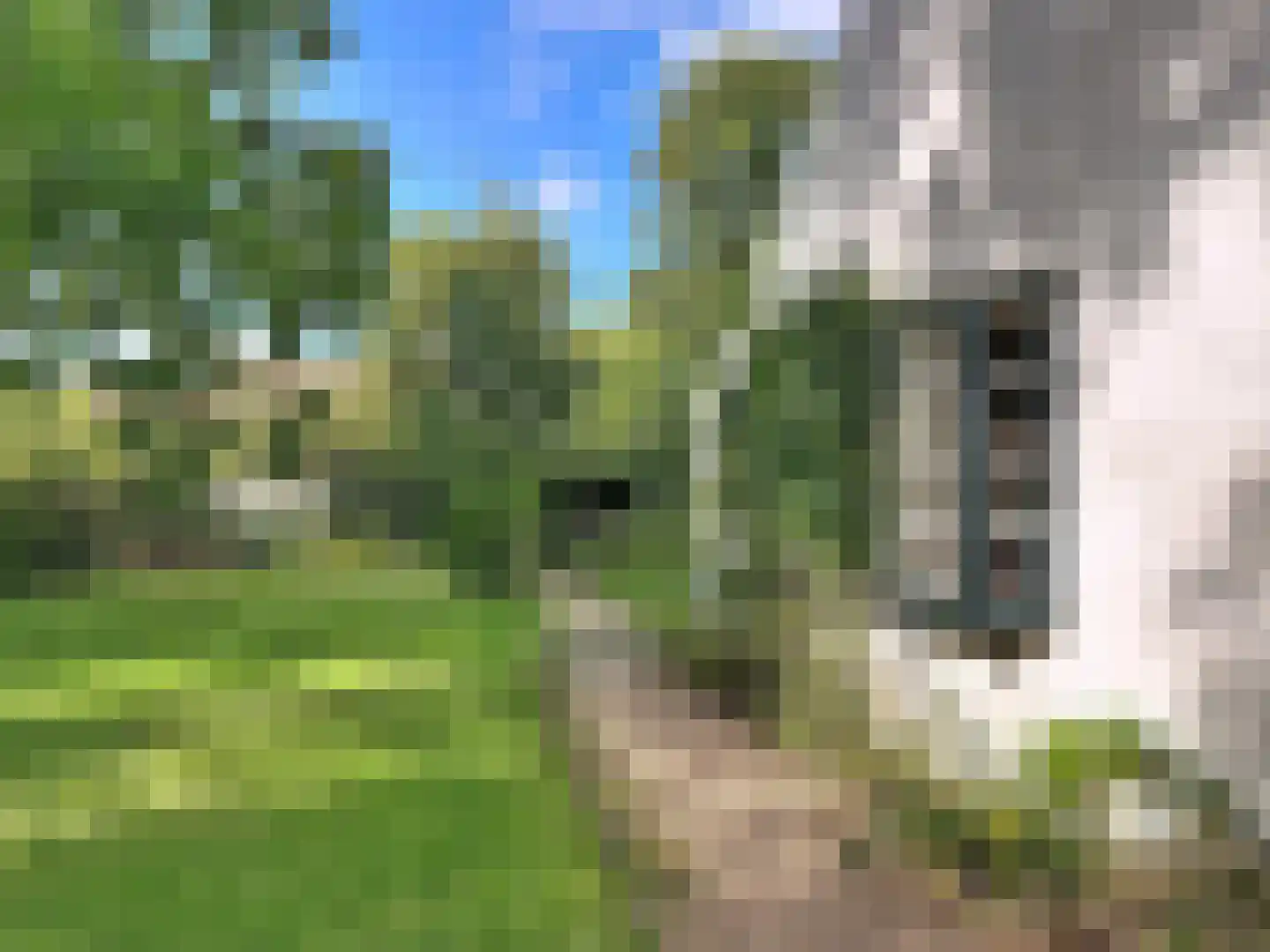 Singel 9 Sluis thumbnail 35