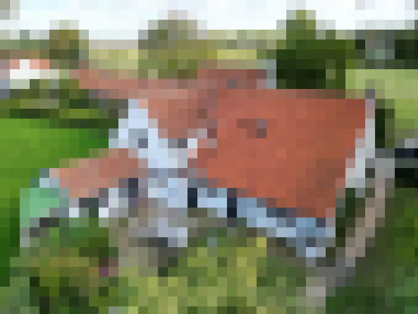 Singel 9 Sluis thumbnail 36