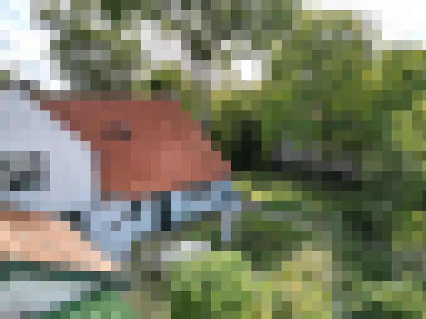 Singel 9 Sluis thumbnail 38