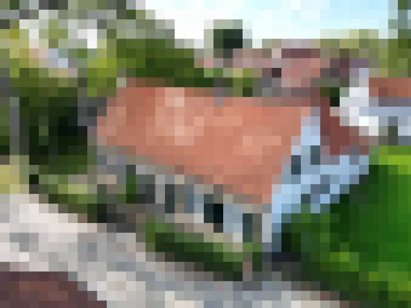 Singel 9 Sluis thumbnail 39