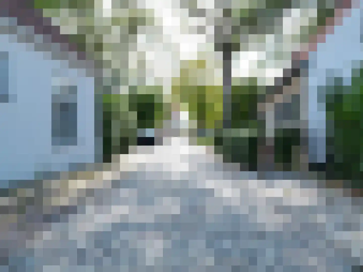 Singel 9 Sluis thumbnail 40