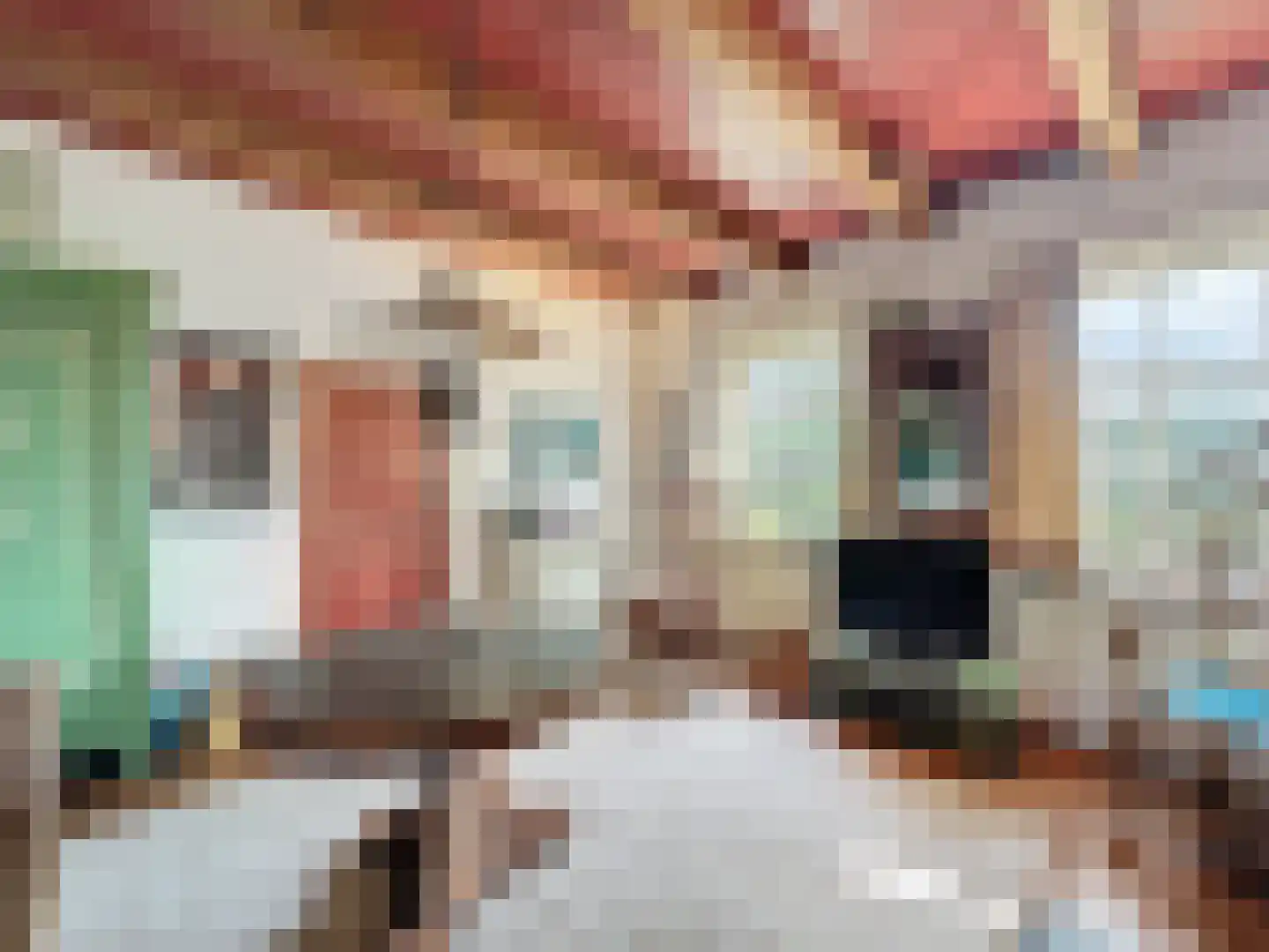 Singel 9 Sluis thumbnail 7