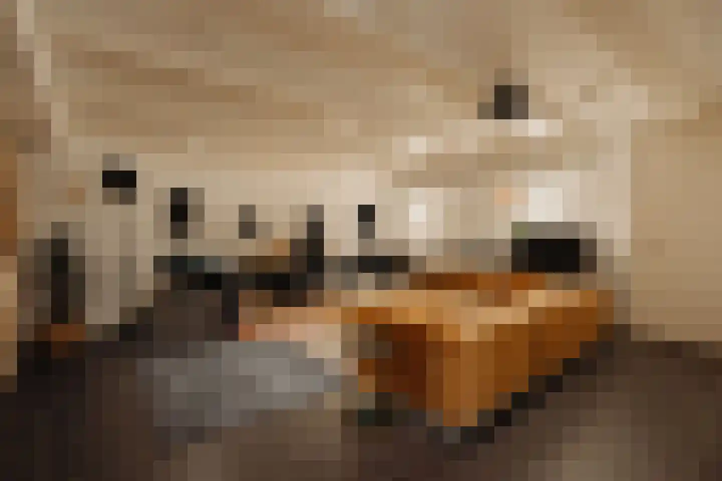 Singel 93 B Amsterdam thumbnail 33