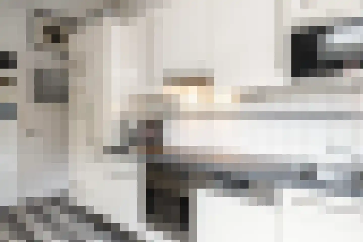 Singel 94 Woerden thumbnail 21