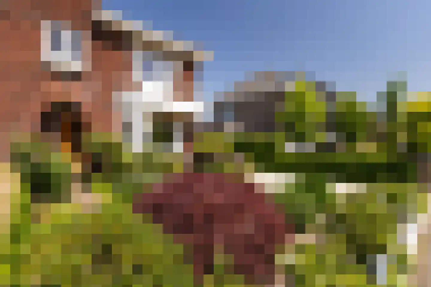 Singel 94 Woerden thumbnail 4