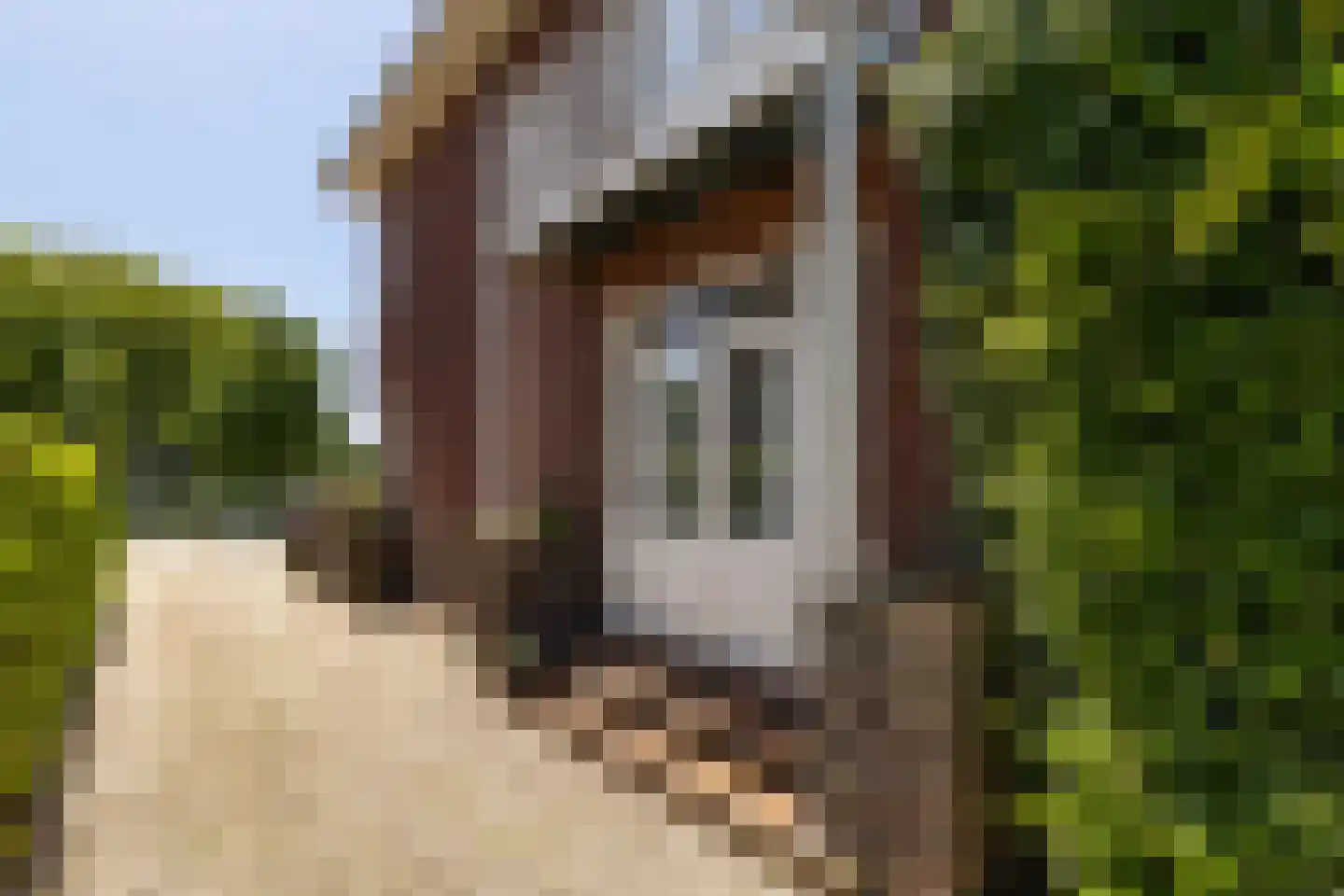 Singel 94 Woerden thumbnail 40