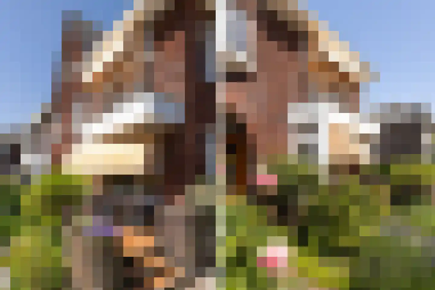 Singel 94 Woerden thumbnail 43