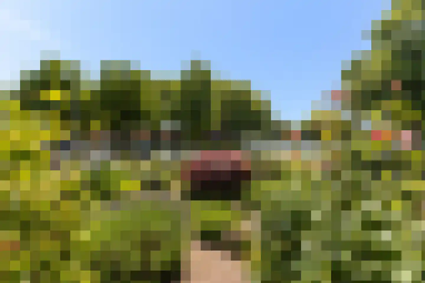 Singel 94 Woerden thumbnail 5