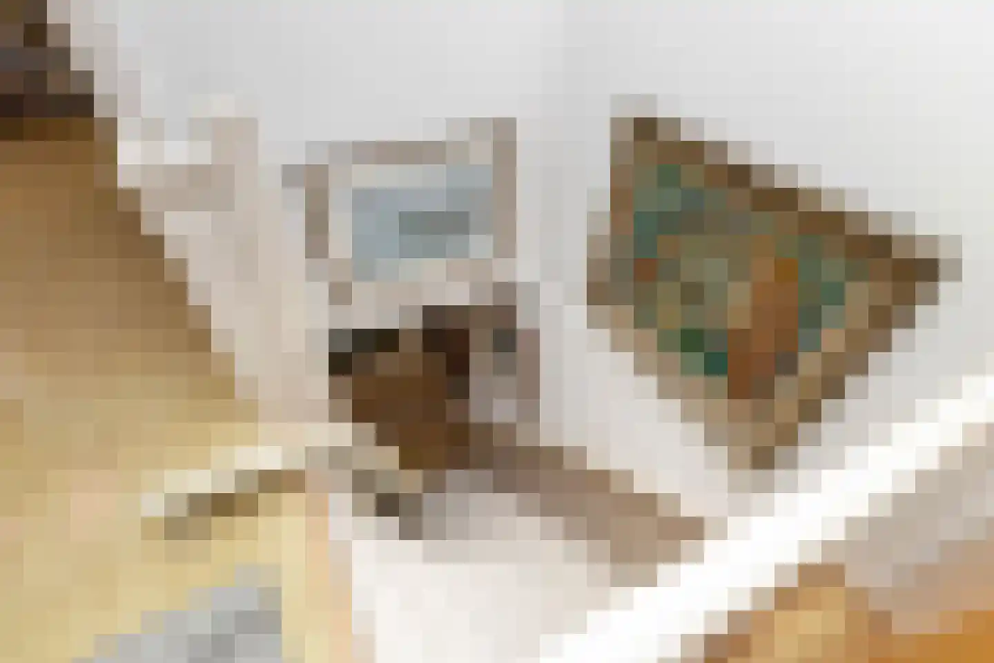 Singel 94 Woerden thumbnail 62