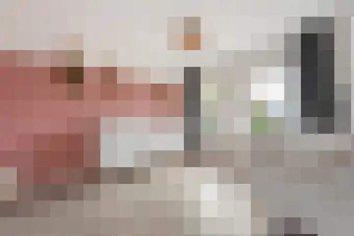 Singelberg 103 Hardenberg thumbnail 15