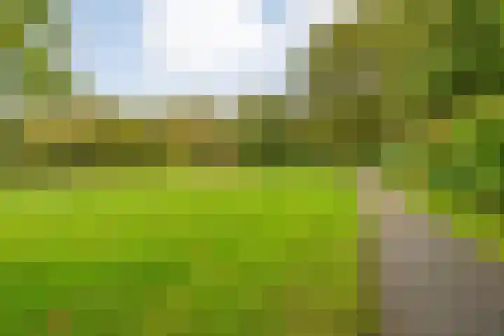 Singelberg 103 Hardenberg thumbnail 33