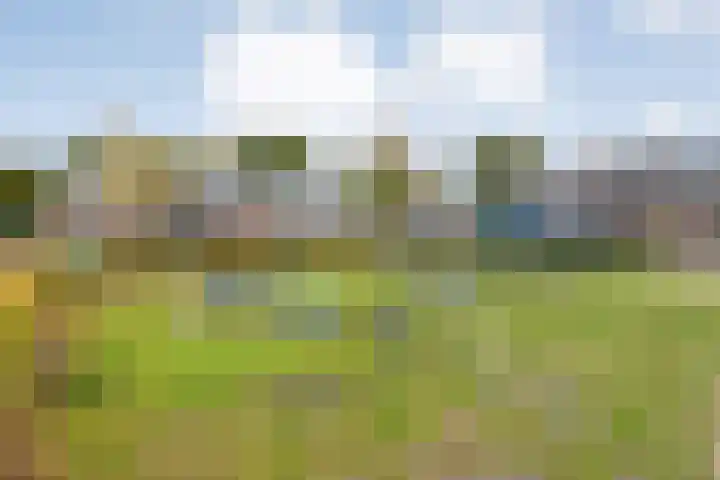Singelberg 103 Hardenberg thumbnail 34