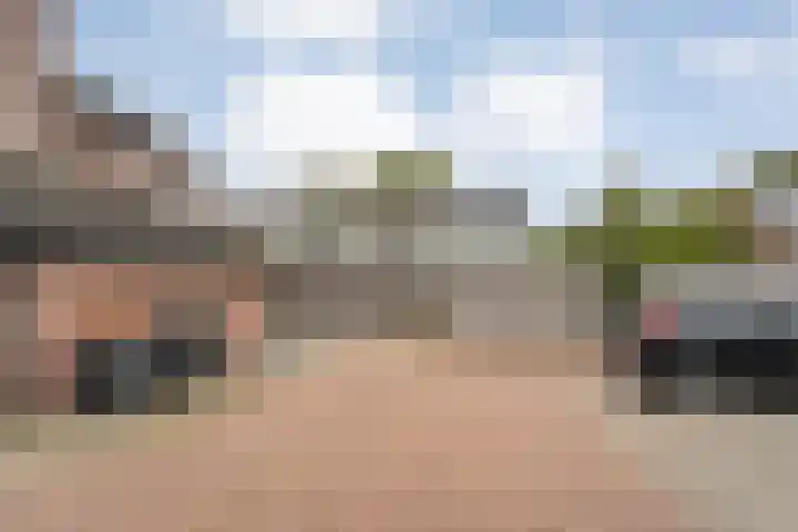 Singelberg 103 Hardenberg thumbnail 35