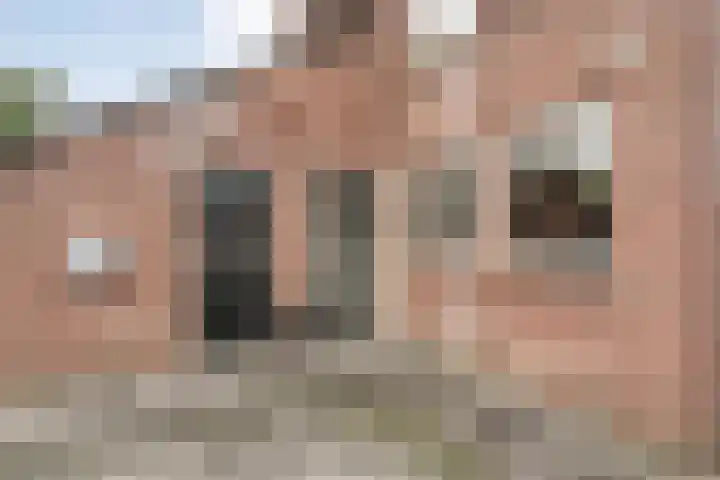 Singelberg 103 Hardenberg thumbnail 36