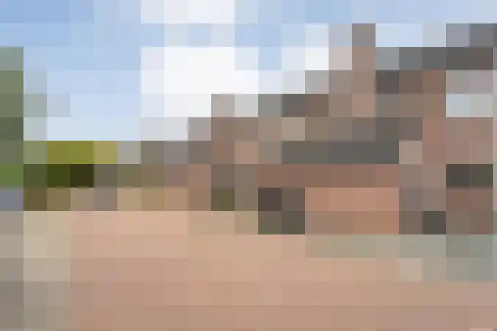 Singelberg 103 Hardenberg thumbnail 38