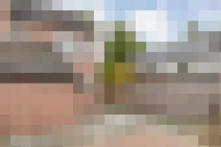 Singelberg 103 Hardenberg thumbnail 39