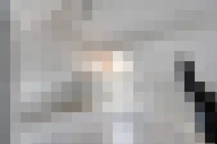 Singelberg 13 Hardenberg thumbnail 21