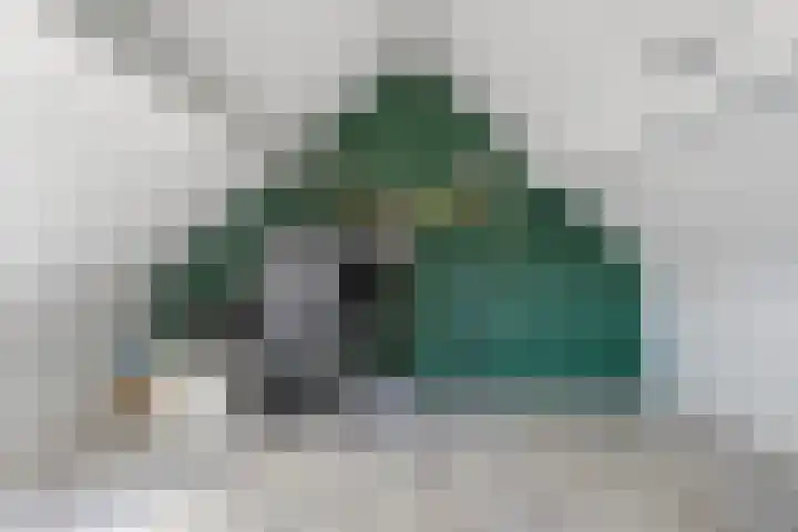 Singelberg 13 Hardenberg thumbnail 22