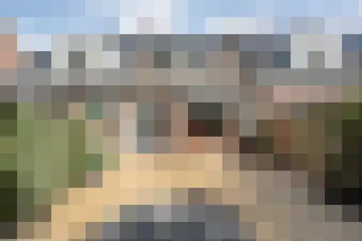 Singelberg 13 Hardenberg thumbnail 23