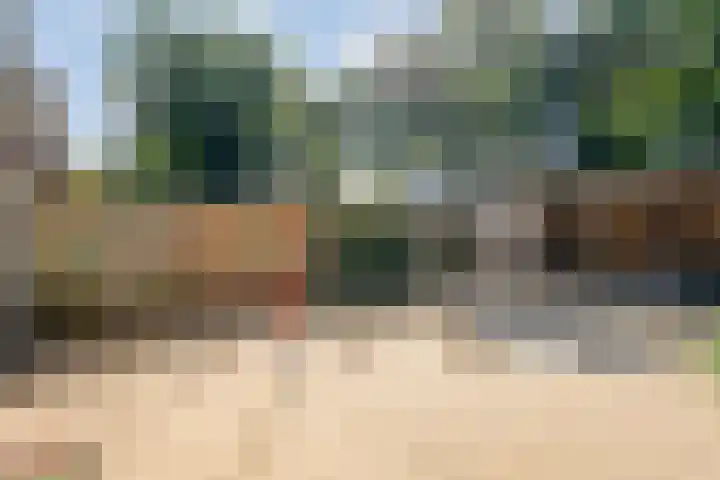 Singelberg 13 Hardenberg thumbnail 26