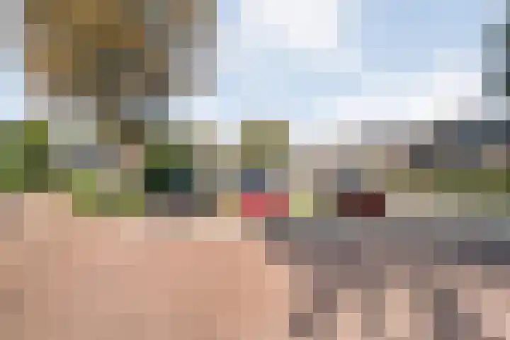 Singelberg 13 Hardenberg thumbnail 27