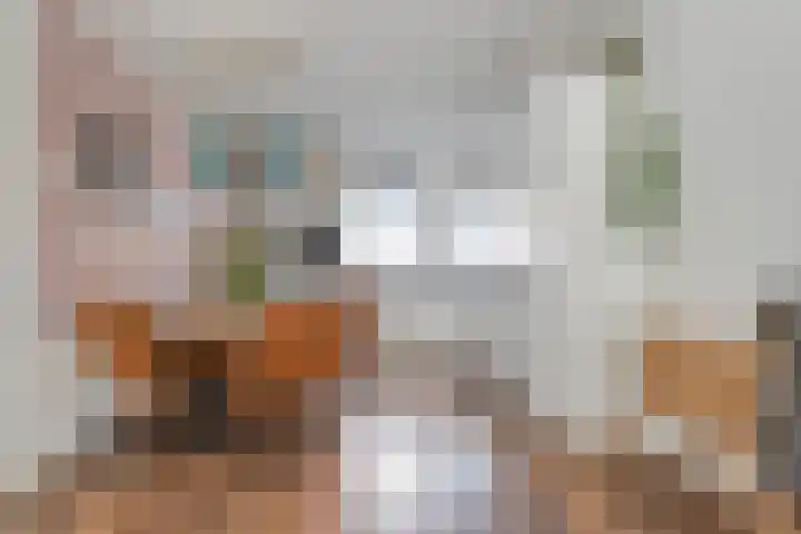 Singelberg 13 Hardenberg thumbnail 8