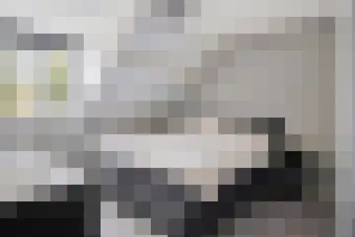 Singelberg 18 Hardenberg thumbnail 18