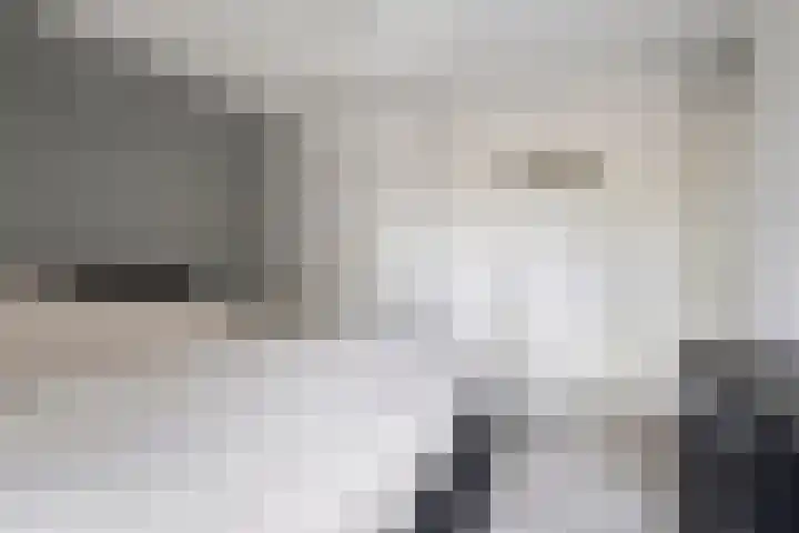 Singelberg 18 Hardenberg thumbnail 20
