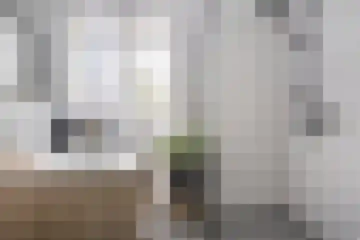 Singelberg 18 Hardenberg thumbnail 24