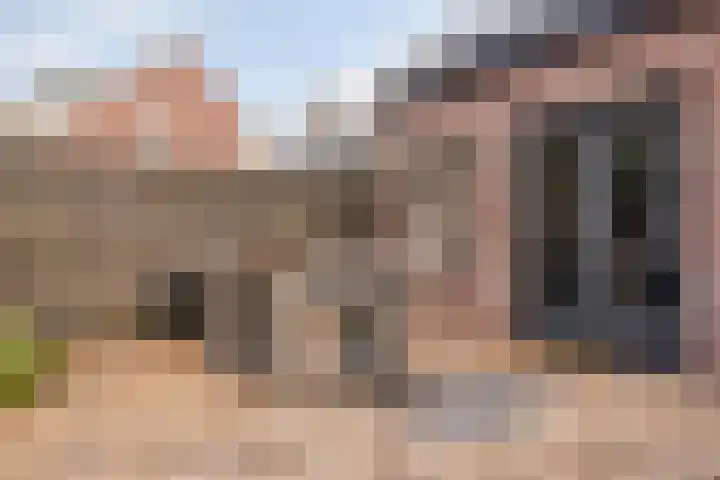 Singelberg 18 Hardenberg thumbnail 31