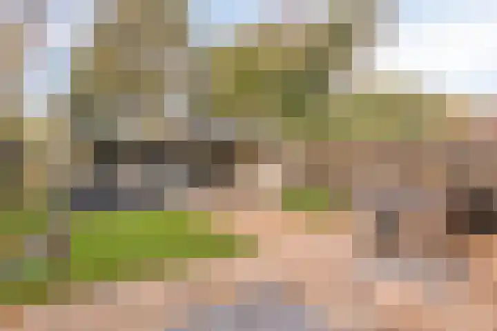 Singelberg 18 Hardenberg thumbnail 32