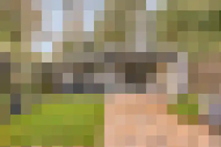 Singelberg 18 Hardenberg thumbnail 33