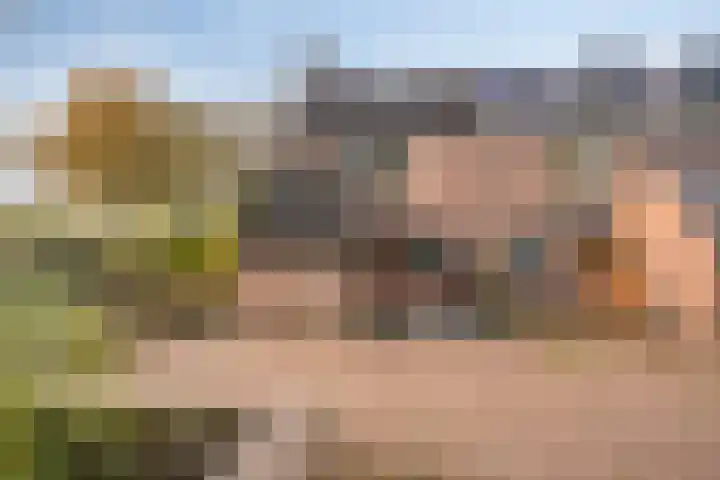 Singelberg 18 Hardenberg thumbnail 35