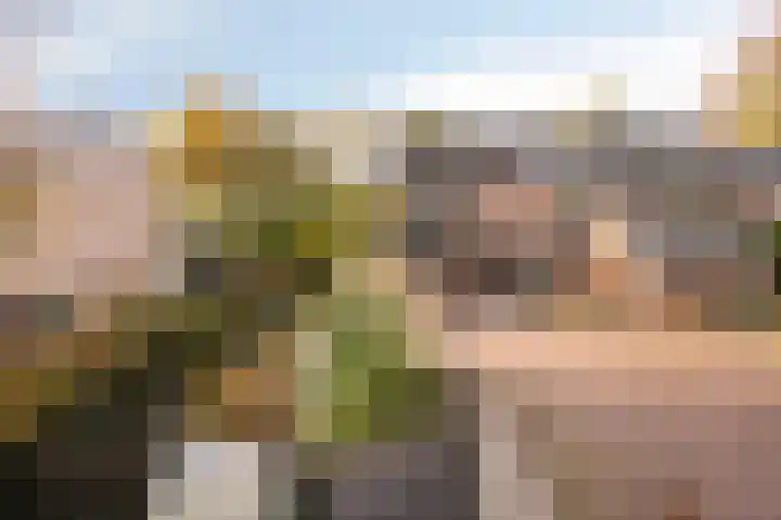 Singelberg 18 Hardenberg thumbnail 4